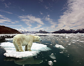 Neue CSR-Richtlinie: Wir haben nachhaltige Lösungen